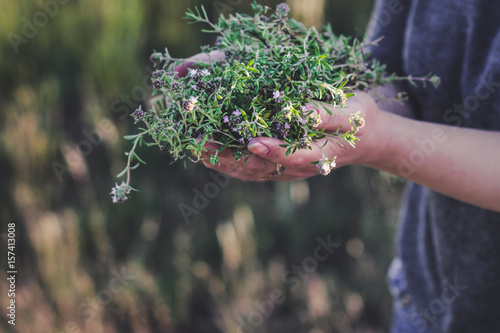  Keep thyme in hand (harvest)