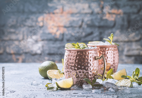 Canvas Print Moscow mule cocktail