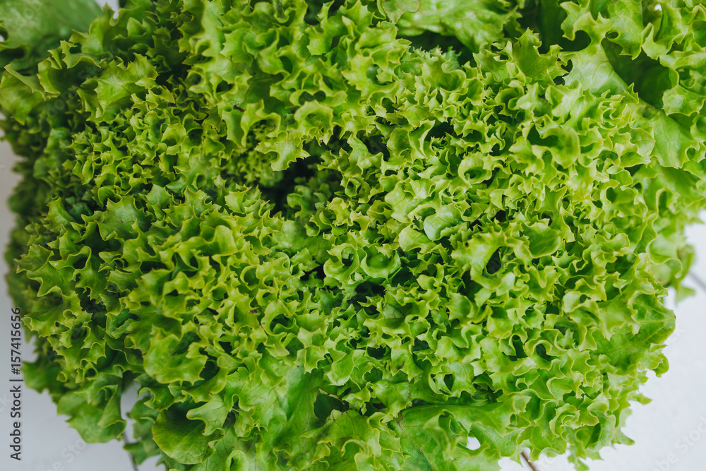 Fresh green salad leaf closeup on white wooden background. Healthy organic food. Fresh green salad leaf closeup on white wooden background. Healthy organic food.