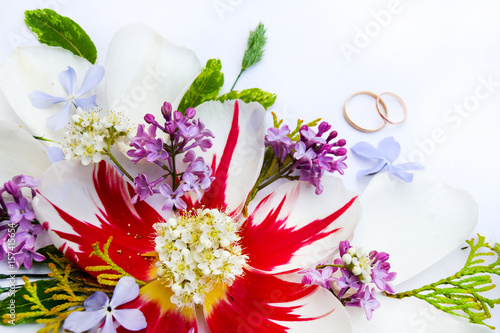 Colorful spring flowers isolated on white background.