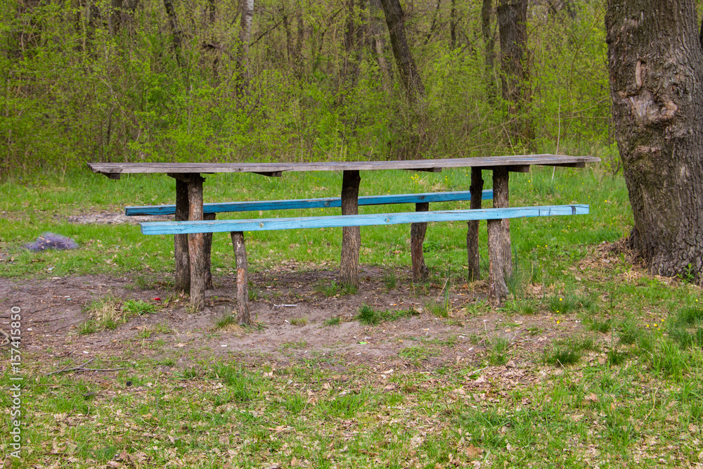Picnic site wooden table and benches in forest park