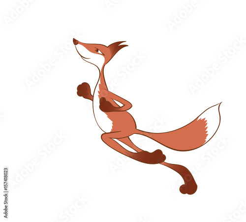 Running red fox