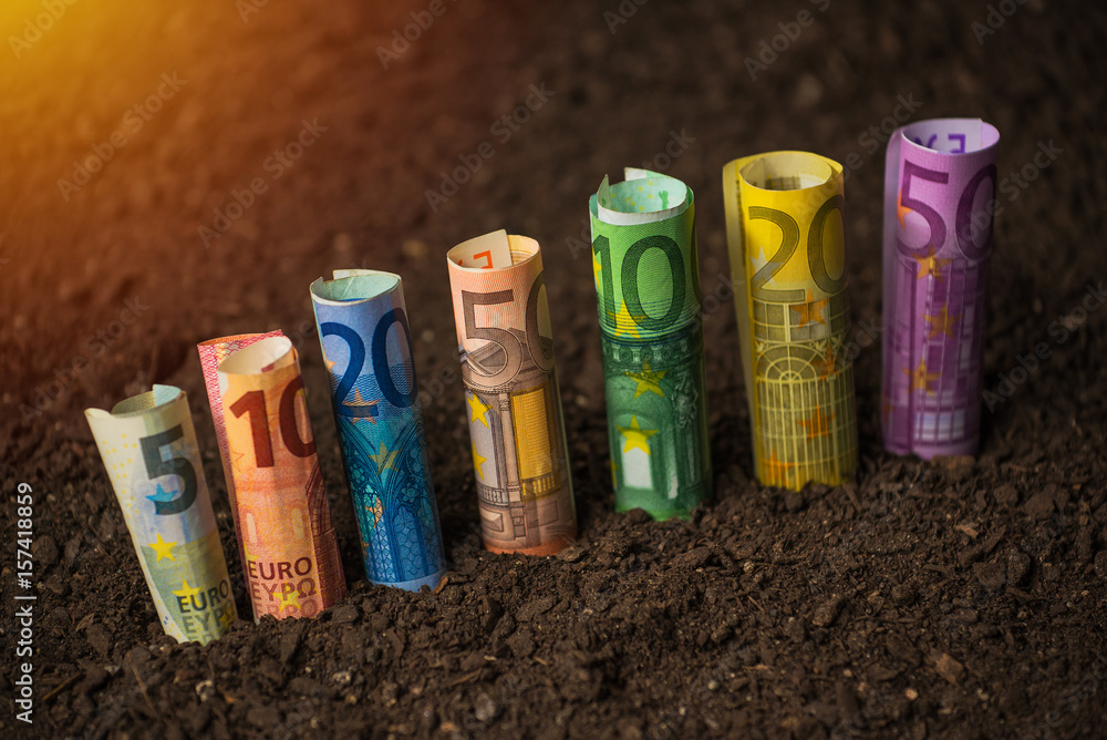 Earning from agricultural activity StockFoto Adobe Stock