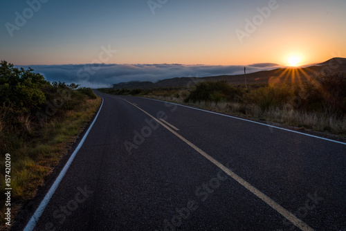 Foggy Chihuahuan © Steve Coyle