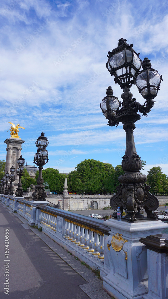 Fototapeta premium Photo of iconic Alexander III bridge, Paris, France