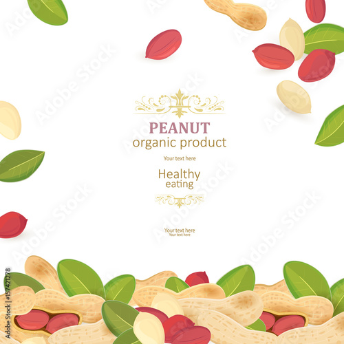 banner with delicious peanuts on white background for your desig