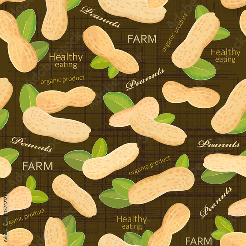 vintage seamless texture with organic peanuts for your design