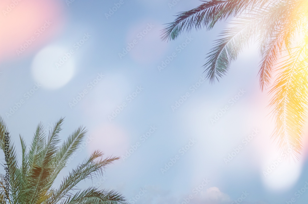 Palm trees against blue sky Palm trees against blue sky