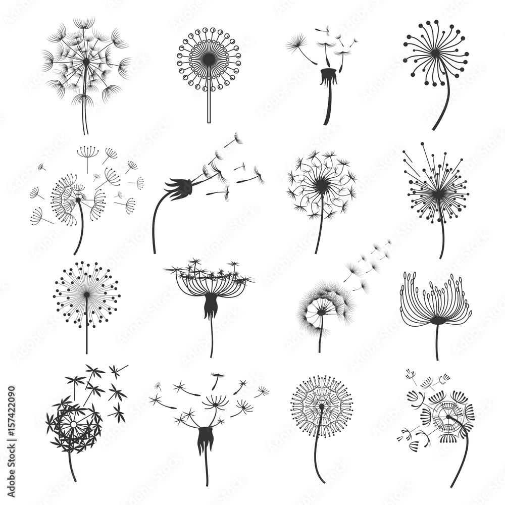 Obraz premium Dmuchawka dmuchawca na wietrze