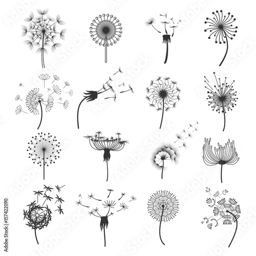 Dandelion blowball in the wind set