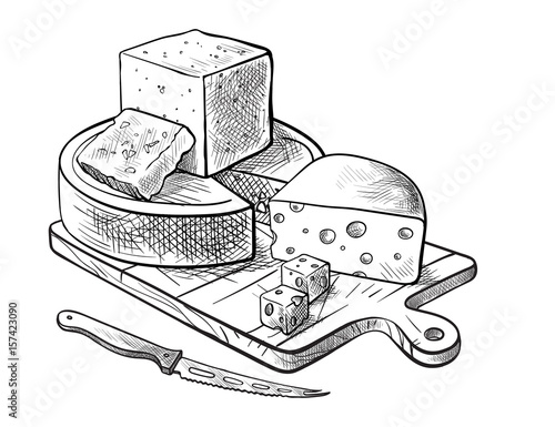 cheese making various types of cheese set of vector sketches on a white background