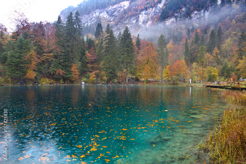 Fototapeta Naklejka Na Ścianę i Meble -  Scenic landscape view of blue lake in Autumn. Crystal clear lake of Blausee Switzerland