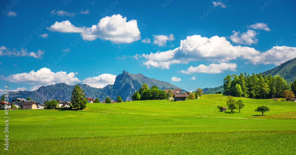 Obraz premium Landschaftspanorama mit grüner Wiese und den Traunstein im Hintergrund, Salzburg, Österreich
