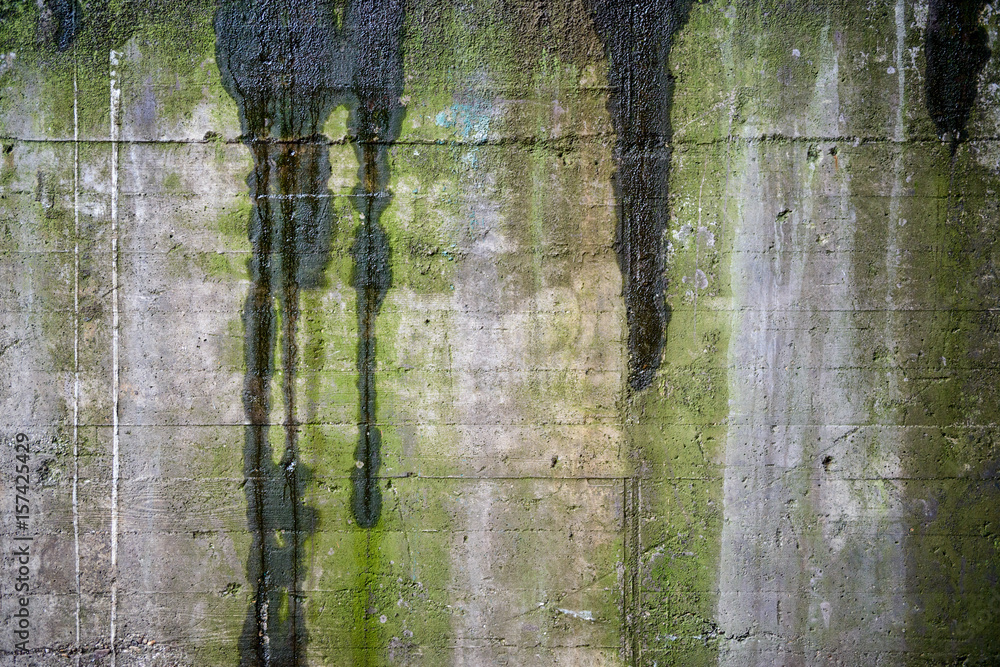 Organic texture of green algae and water stains on a concrete wall