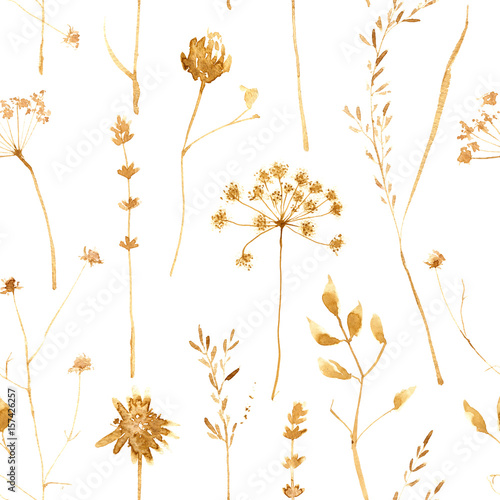 Seamless pattern with dry flowers and grass isolated on white. Hand painted watercolor illustration.