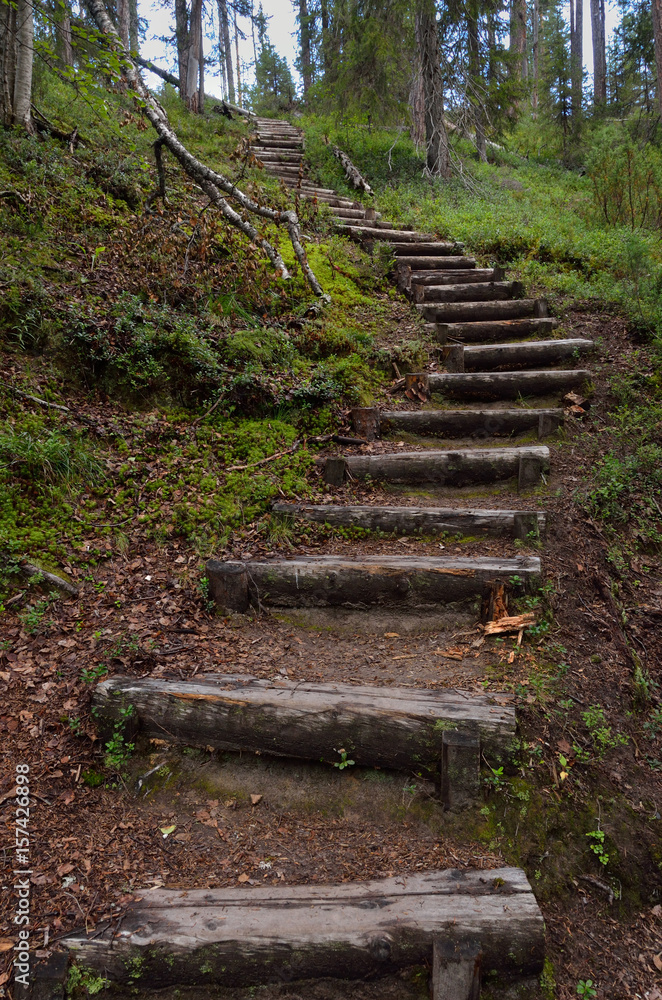 Wooden stairs as a part of hiking trail in the forest. Wooden stairs as a part of hiking trail in the forest.