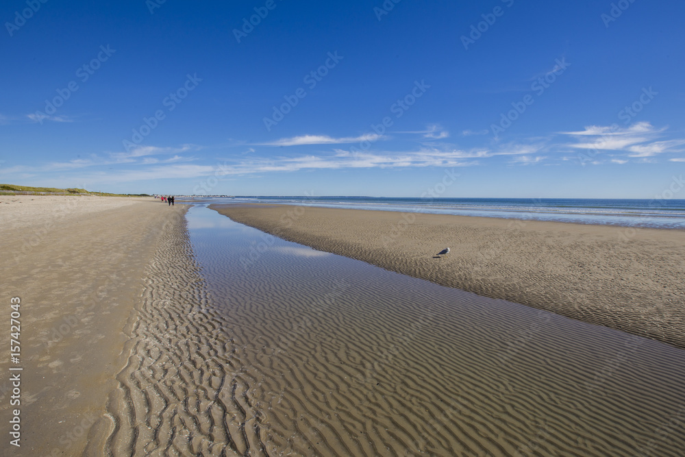 Fototapeta premium Ogunquit Beach in Maine, USA