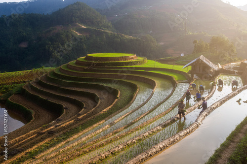 Fotografie Terraced ricefield in water season at Mu Cang Chai , Vietnam