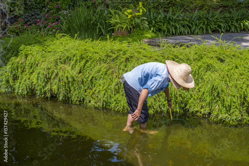 Gardener man worker with hat on head cleaning the water pond pool from leaves in the garden