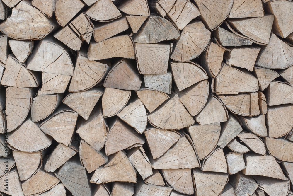 Fototapeta premium The firewood is stacked in a woodpile. Decorative wall of firewood