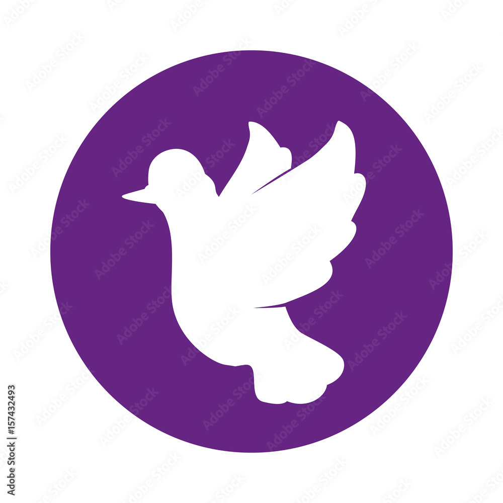 Dove bird symbol icon vector illustration graphic design Dove bird symbol icon vector illustration graphic design