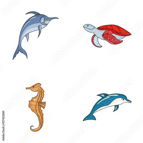 Merlin, turtle and other species.Sea animals set collection icons in cartoon style vector symbol stock illustration web.
