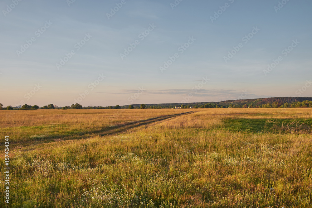 Landscape with green and yellow grass, road and blue sky in the background at sunset