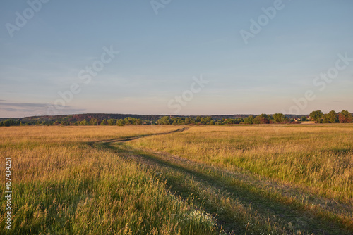 Landscape with green and yellow grass  road and blue sky in the background at sunset