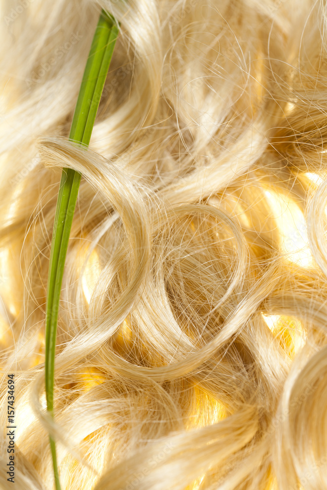 feuille verte dans de beaux cheveux blonds  - obrazy, fototapety, plakaty 