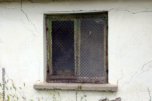 Window twild photo