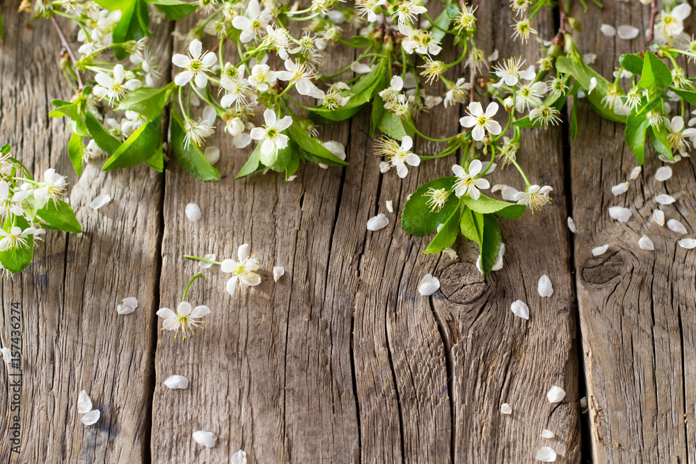 Cherry blossom on wooden background Cherry blossom on wooden background