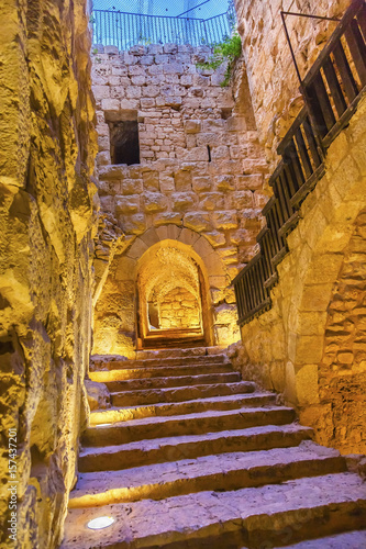 Qalat ar-Rabid Ancient Arabic Fortress Castle Ajlun Jordan