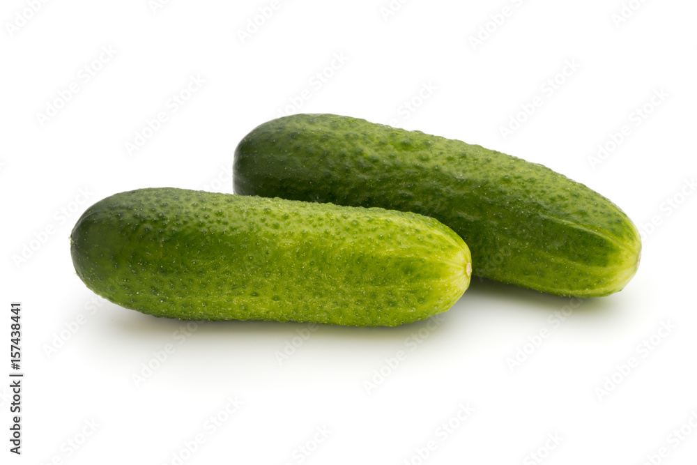 Eco cucumber on white background. Fresh vegetables. Eco cucumber on white background. Fresh vegetables.