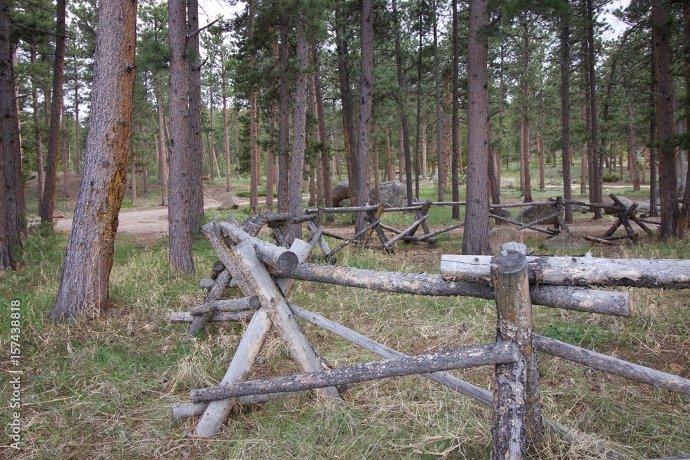 forest fence forest fence