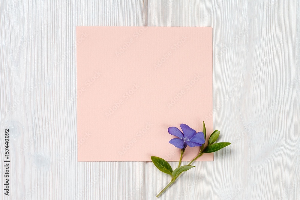 Blue flower and pink sheet on wooden background. Blue flower and pink sheet on wooden background.