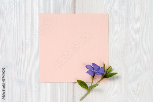 Blue flower and pink sheet on wooden background.