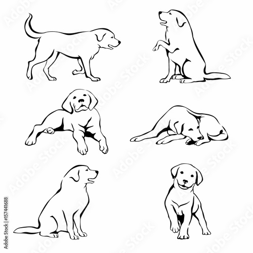 set of dog drawing