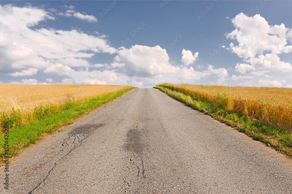 Road through farmlands
