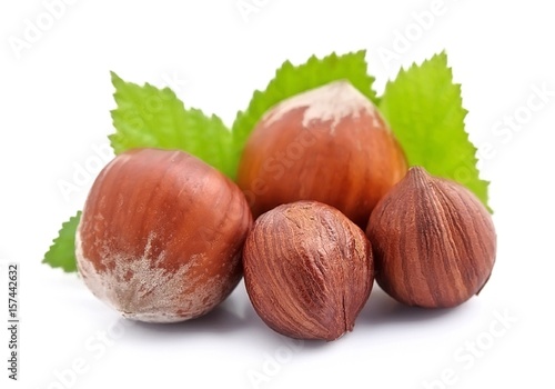 Filbert nuts.