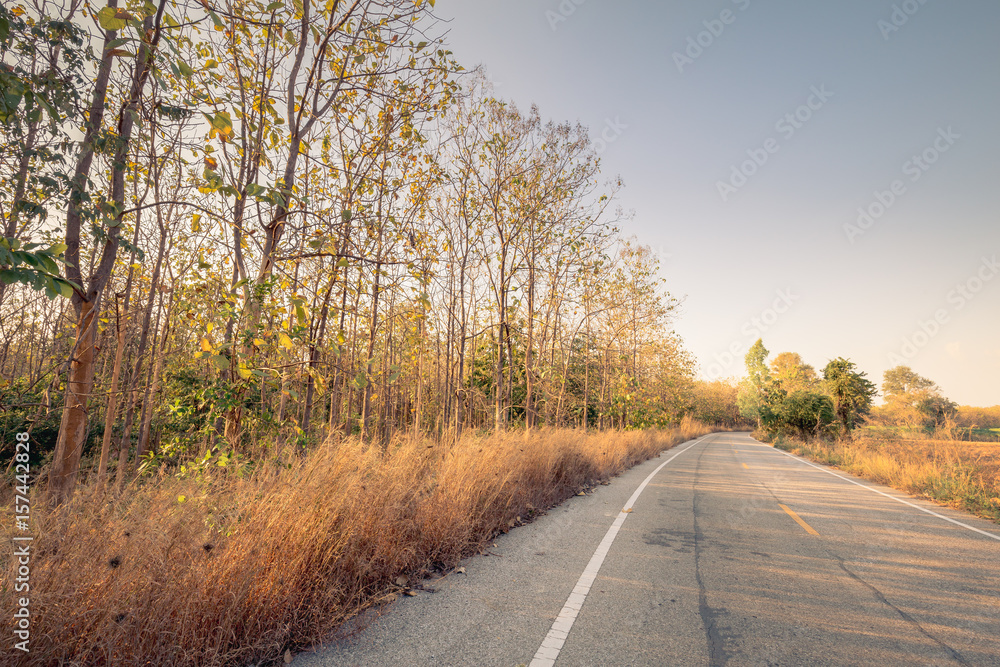 Fototapeta premium Country Road