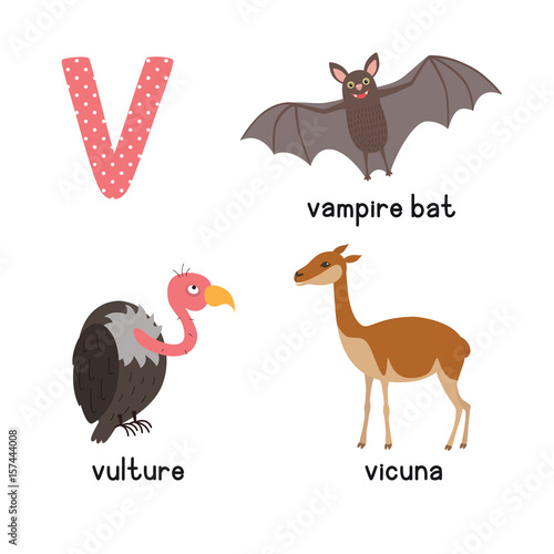 Cute Animal Zoo Alphabet. Letter V for vulture, vicuna, vampire bat