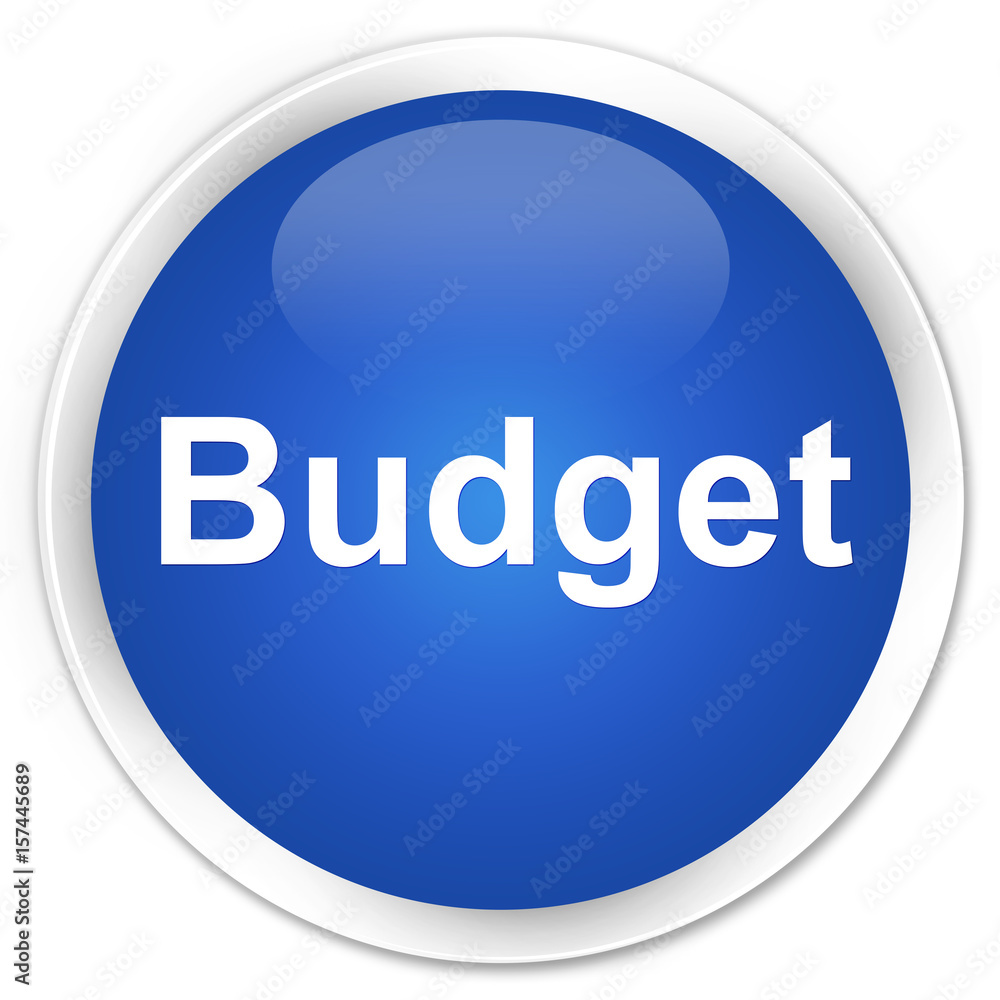 Budget premium blue round button Budget premium blue round button