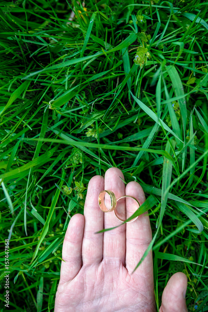 wedding rings on green background wedding rings on green background