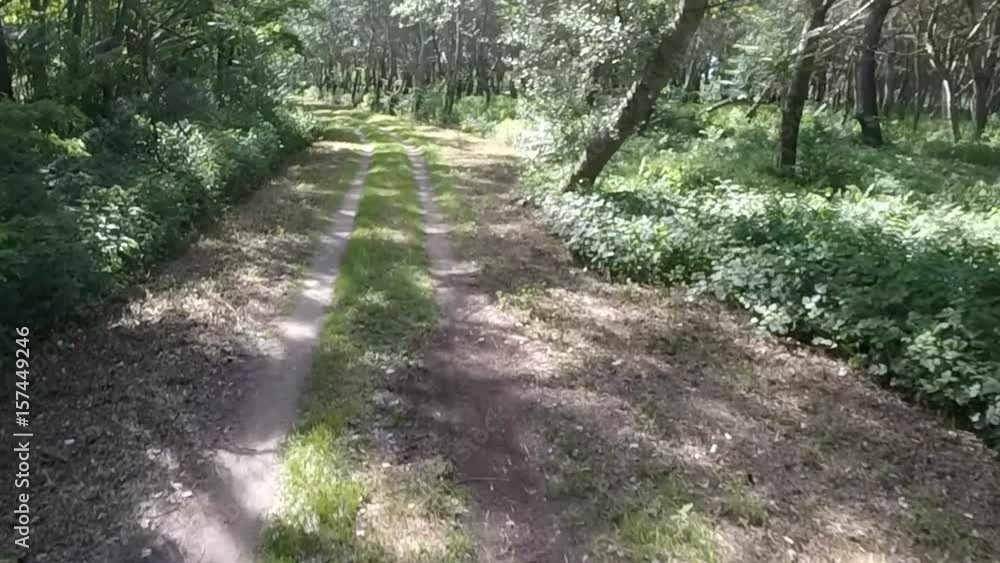 Aerial shot – country road near a grove – slow motion
Aerial shot – country road near a grove – slow motion