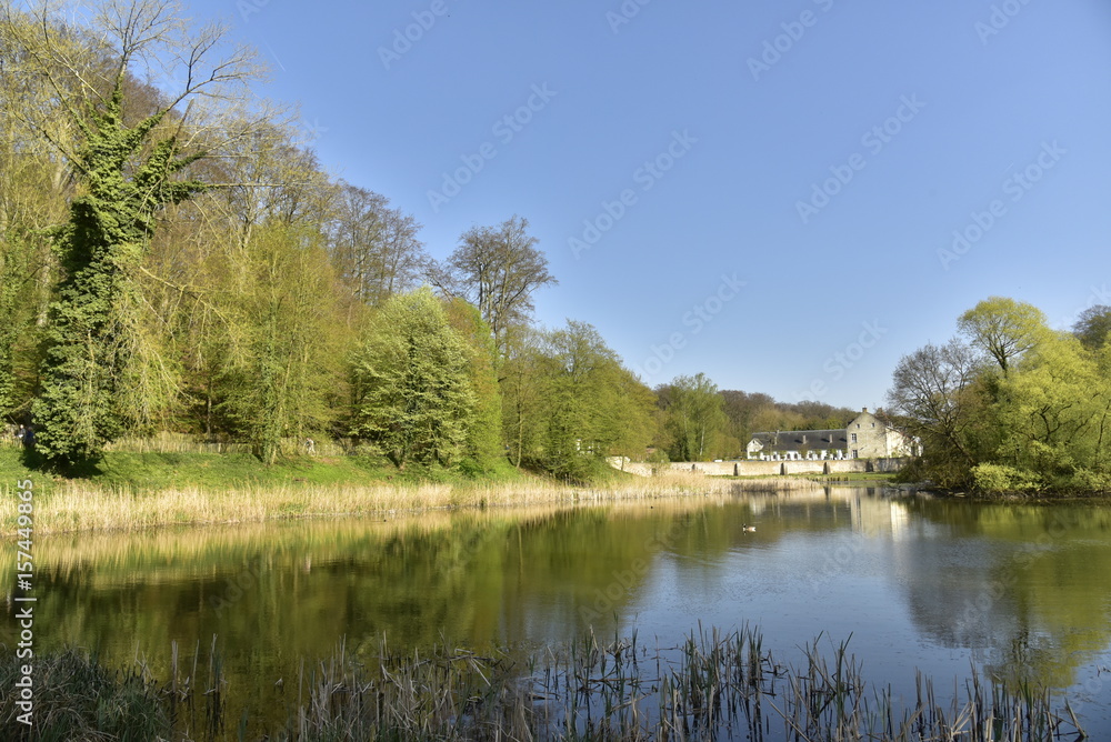 Le petit étang de Lange Gracht avec à son bout l'abbaye du Rouge-Cloître en pleine nature de la forêt de Soignes au printemps 