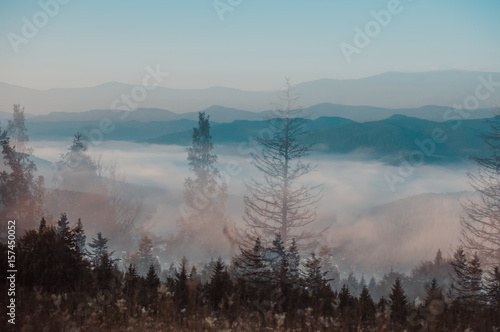 Forest hills of the Carpathian mountains, utensils fog.