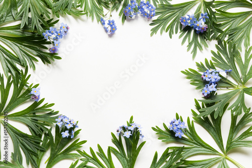 Fototapeta Naklejka Na Ścianę i Meble -  Green leaves and blue flowers on white background. Top view with copy space. Isolated.
