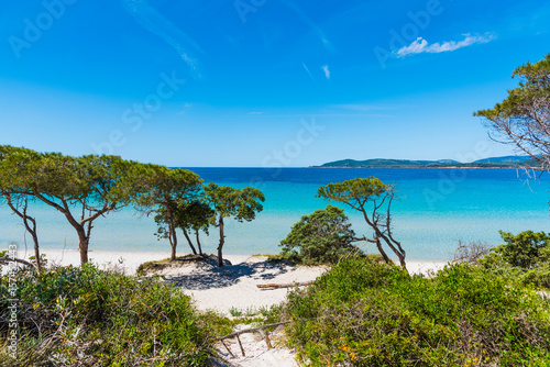 Bild auf Leinwand Maria Pia beach on a sunny day