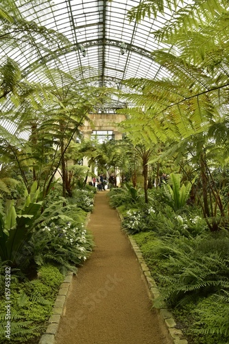 Allée centrale au milieu des plantes exotiques accédant de l'orangerie vers le Jardin d'Hiver au Serres royales de Laeken  © Photocolorsteph