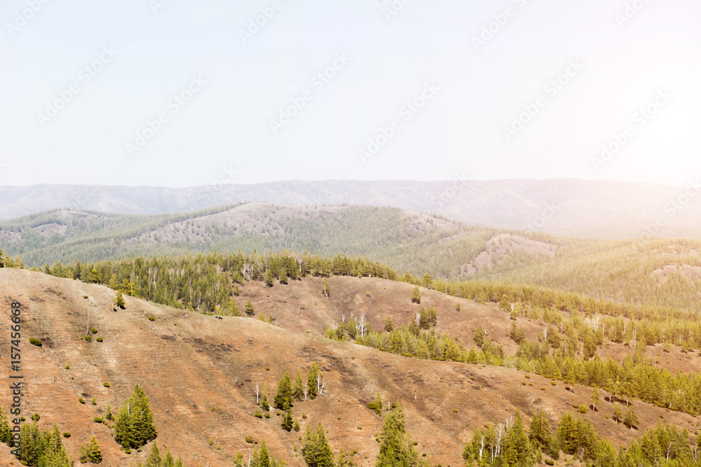 beautiful wild nature, pine forests, high mountains, landscape, summer, sun